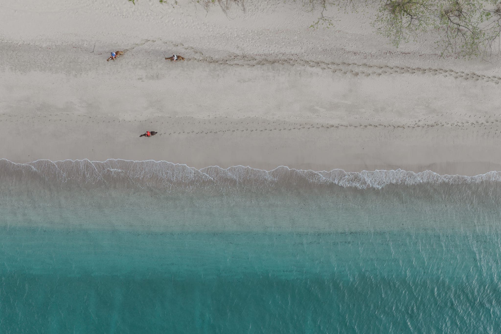 Aerial view of Guanacaste Pacific coastline — Playa Grande, Costa Rica
